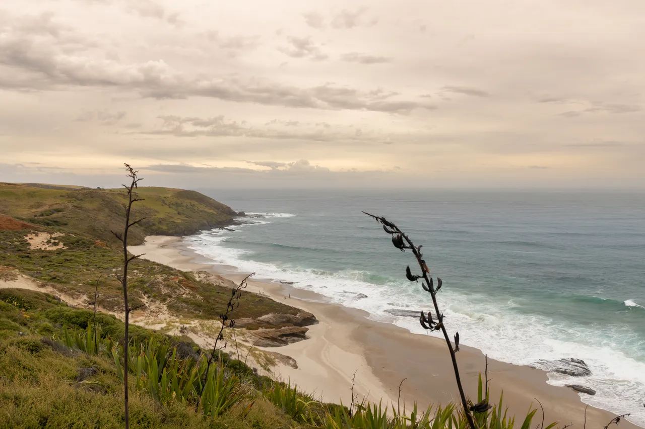 View from Signal Station Track Scenic Outlook