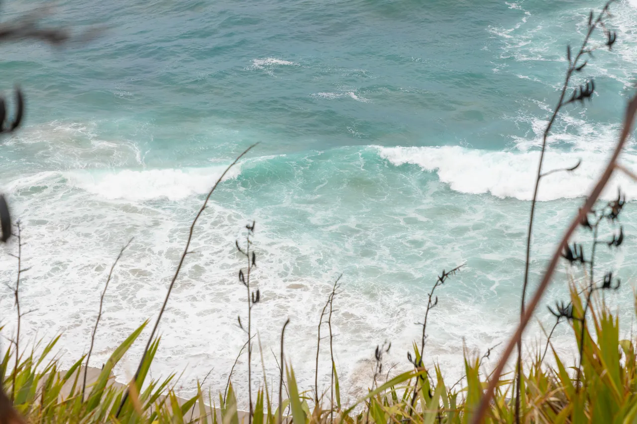 Crashing waves in the Hokianga Harbour