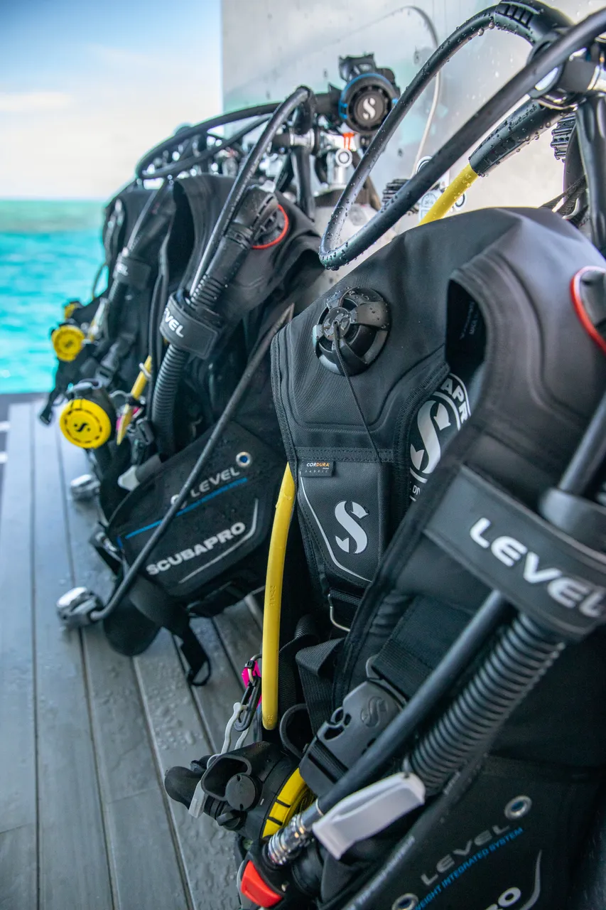 Tusa Reef Tours Dive Deck Gear-1