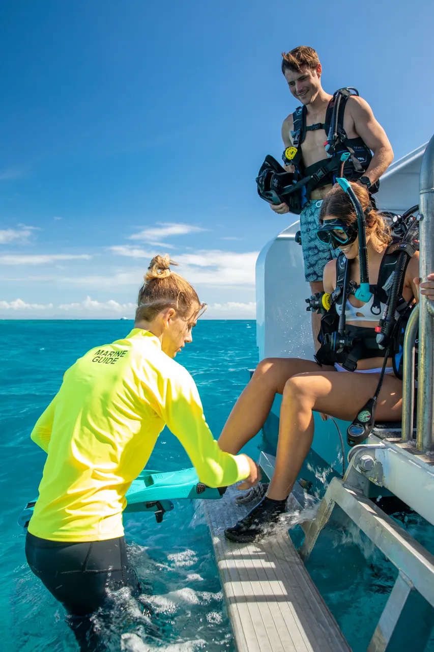 Tusa Reef Tours Finderella-3