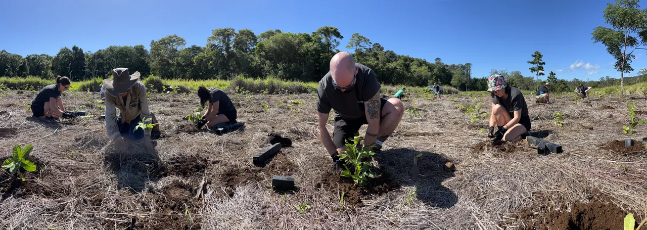 Tusa Reef Tours Sustainability Reforest Tree Planting-1