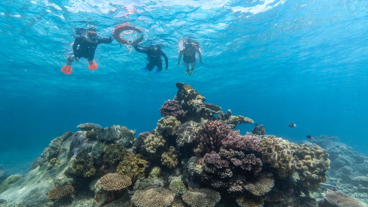 Divers Den Aqua Quest Guided Snorkel Tour (2)