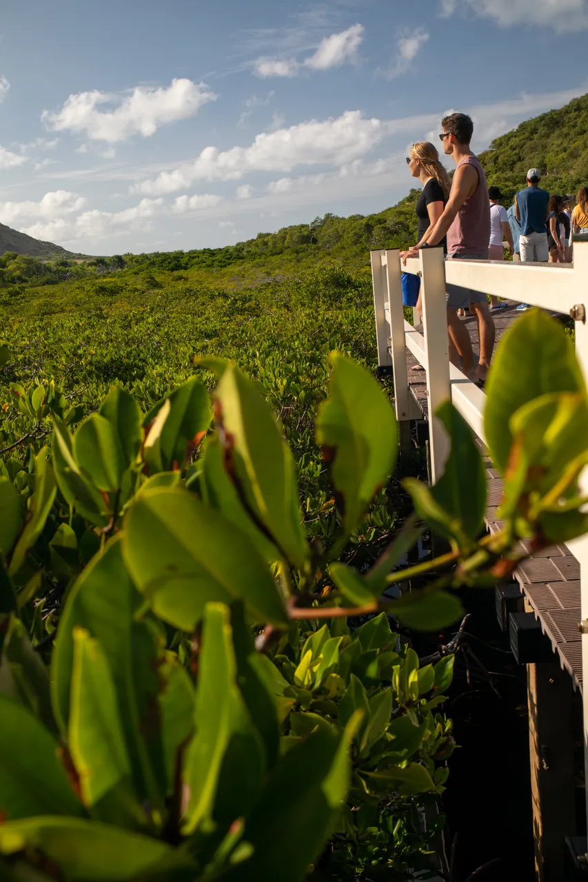 Spirit of Freedom Walk on Lizard Island (9)