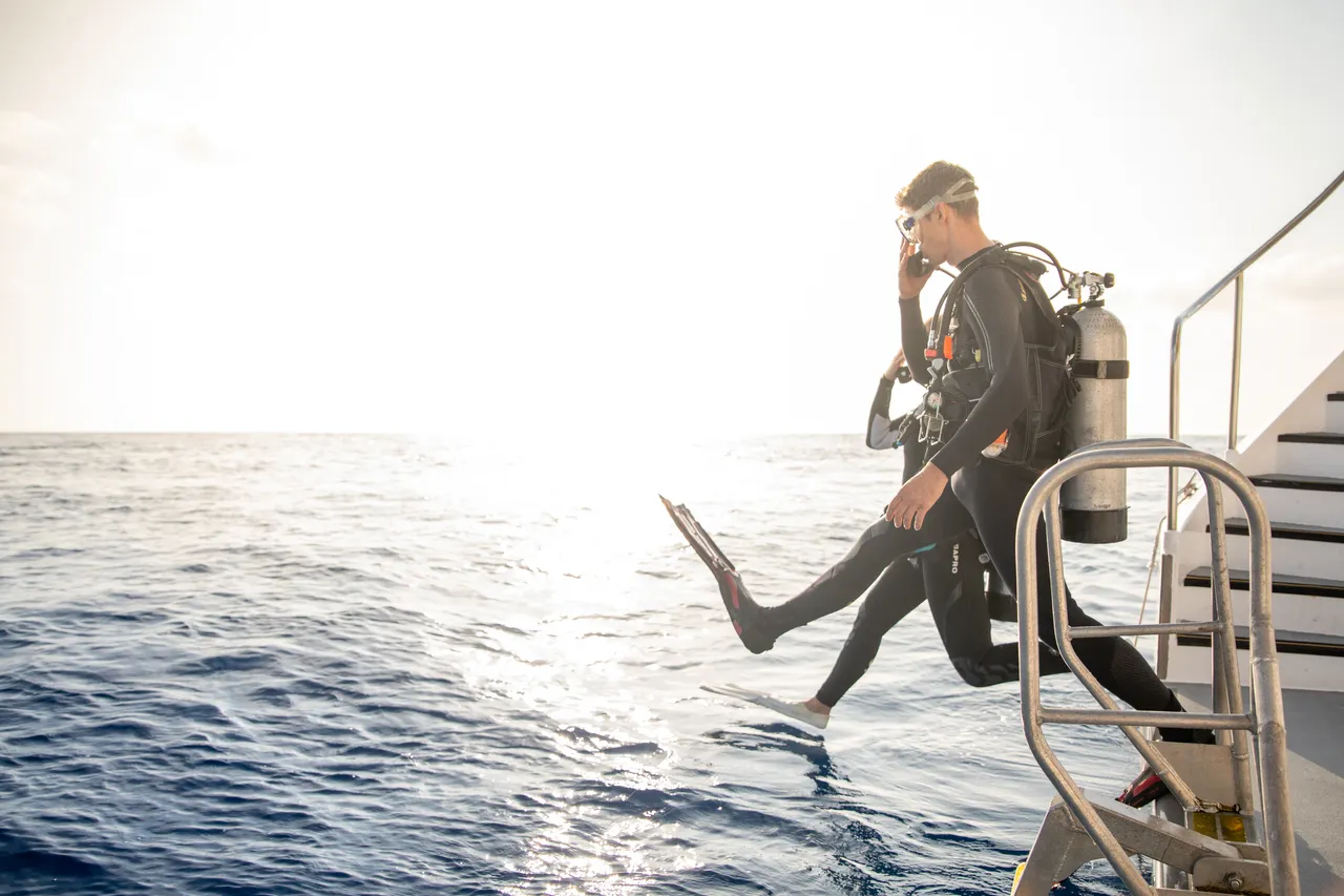 Spirit of Freedom Diving In