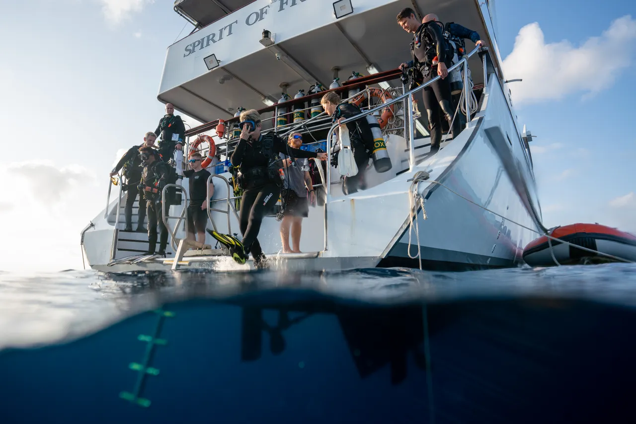 Spirit of Freedom Diving off Back Deck (2)