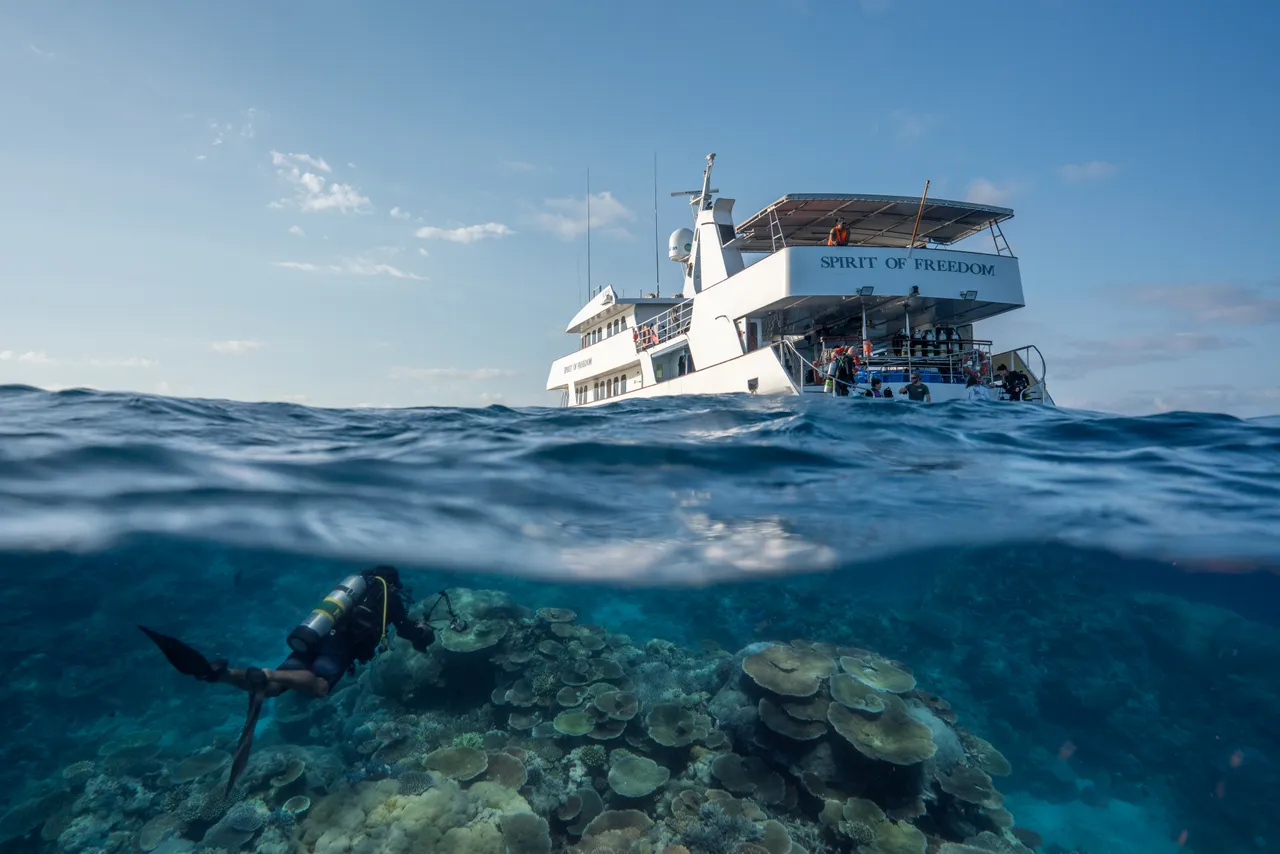 Spirit of Freedom Diving on Ribbon Reef