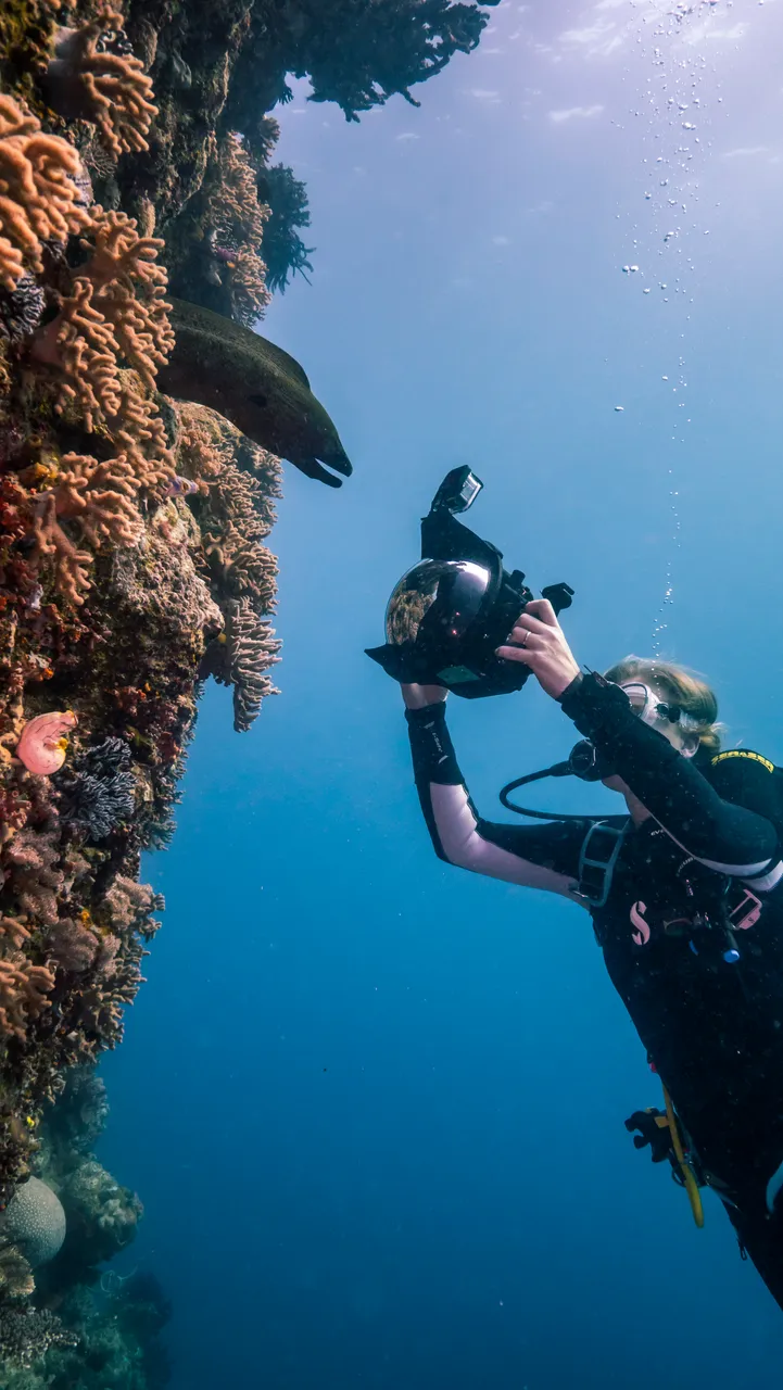 Spirit of Freedom Underwater Photography