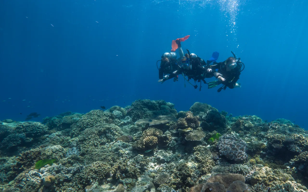 Divers Den Aqua Quest Intro Dive (1)
