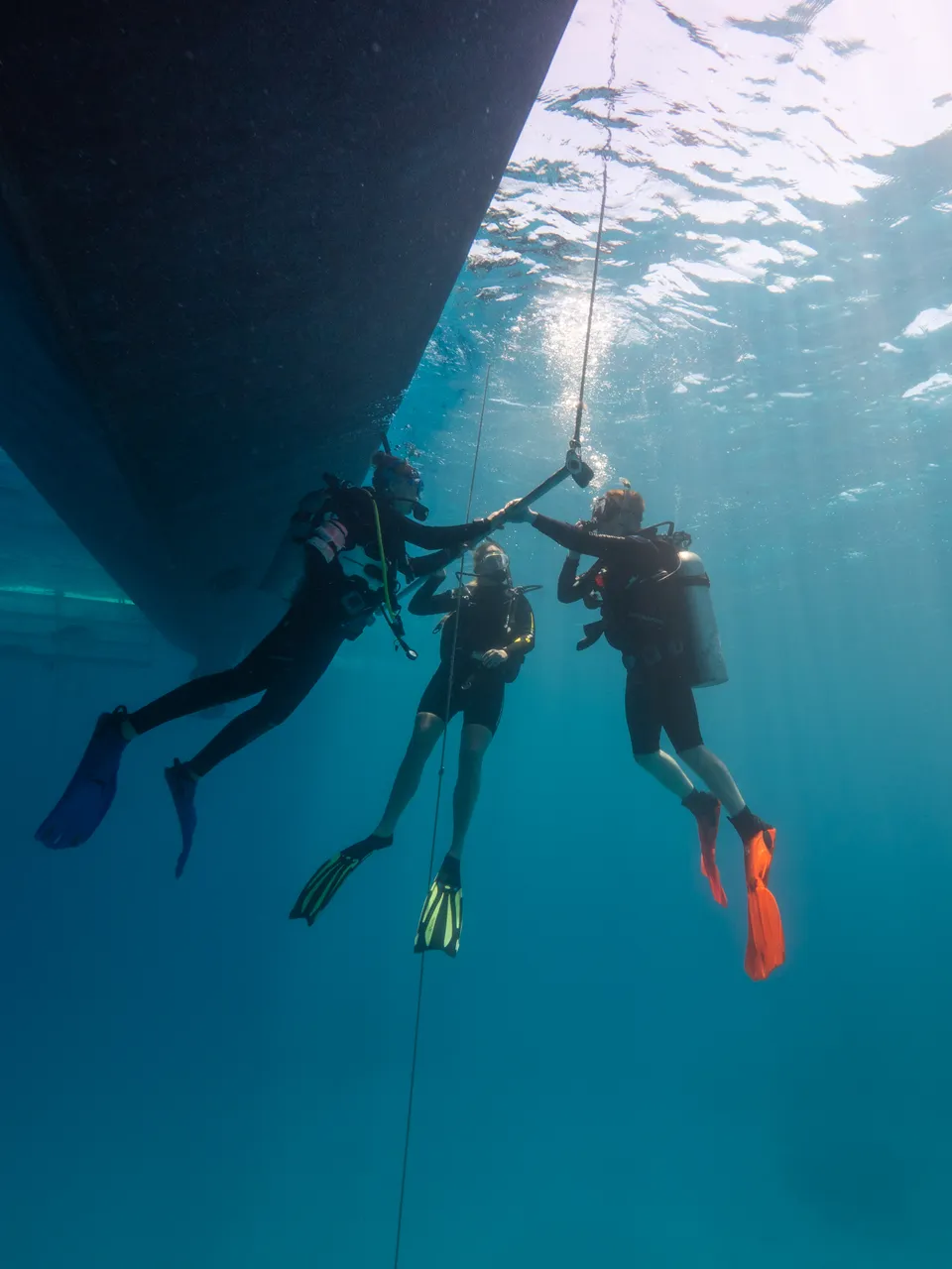 Divers Den Aqua Quest Intro Dive (8)