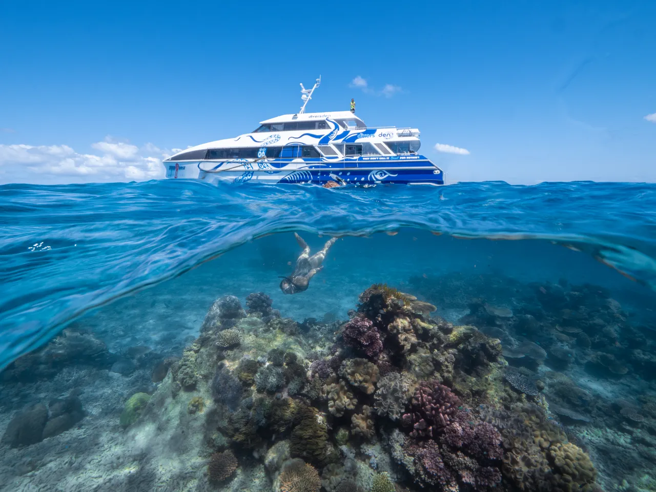 Divers Den Aqua Quest Snorkelling (3)