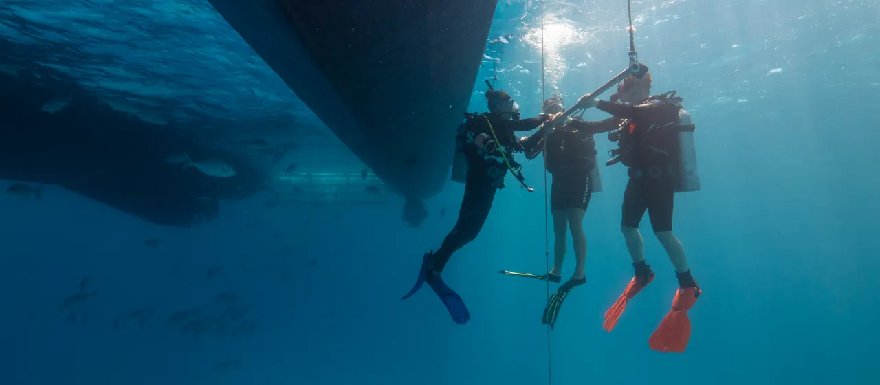 Divers Den Aqua Quest Intro Dive (9)