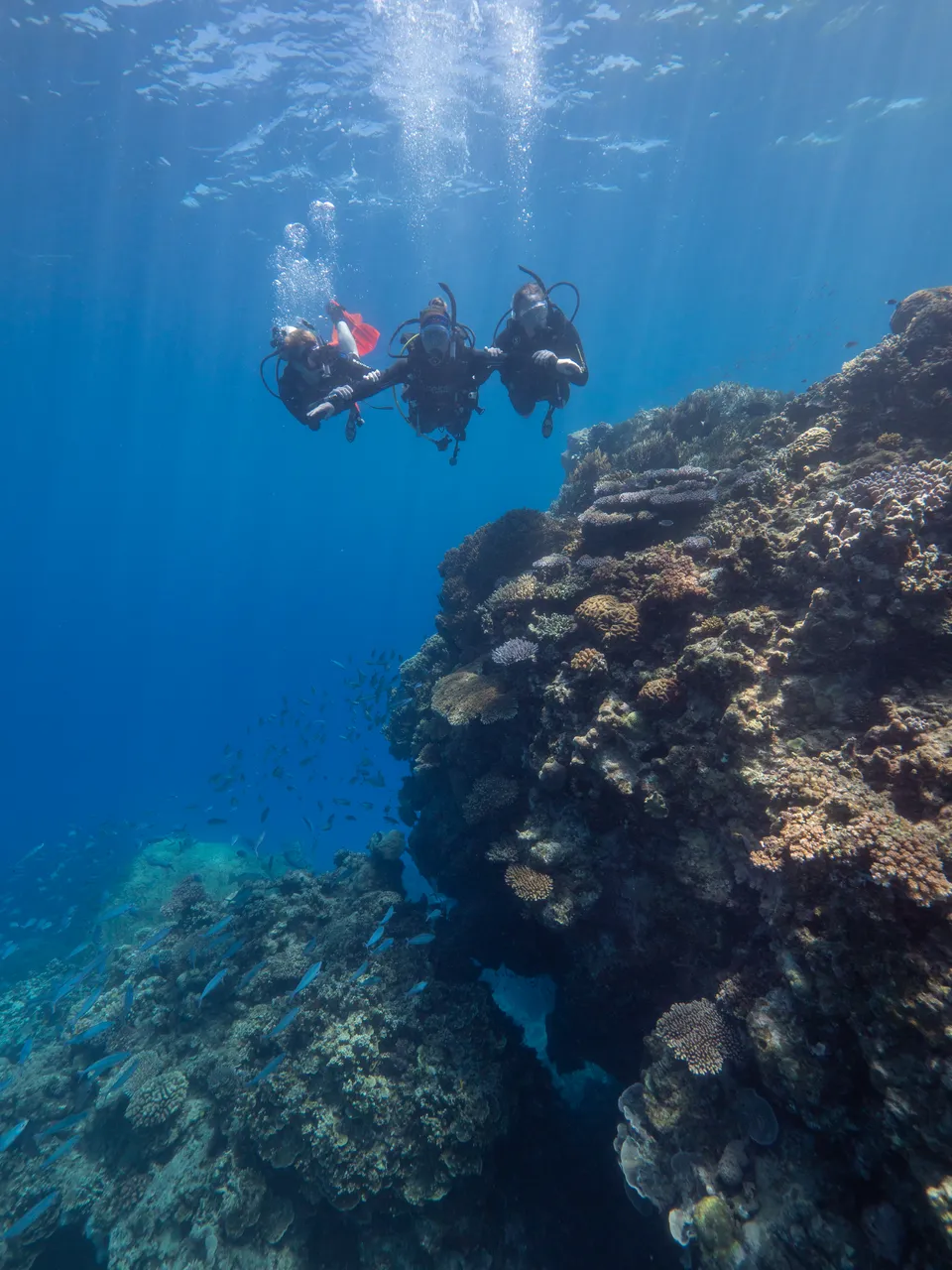 Divers Den Aqua Quest Intro Dive (24)