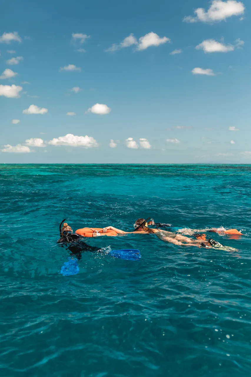 Divers Den Aqua Quest Snorkellers with Guide (9)