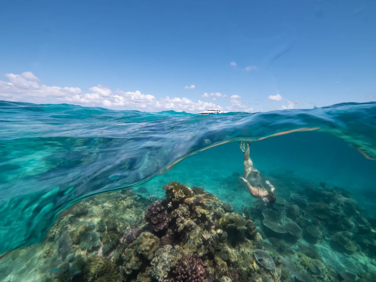 Divers Den Aqua Quest Snorkeller (2)