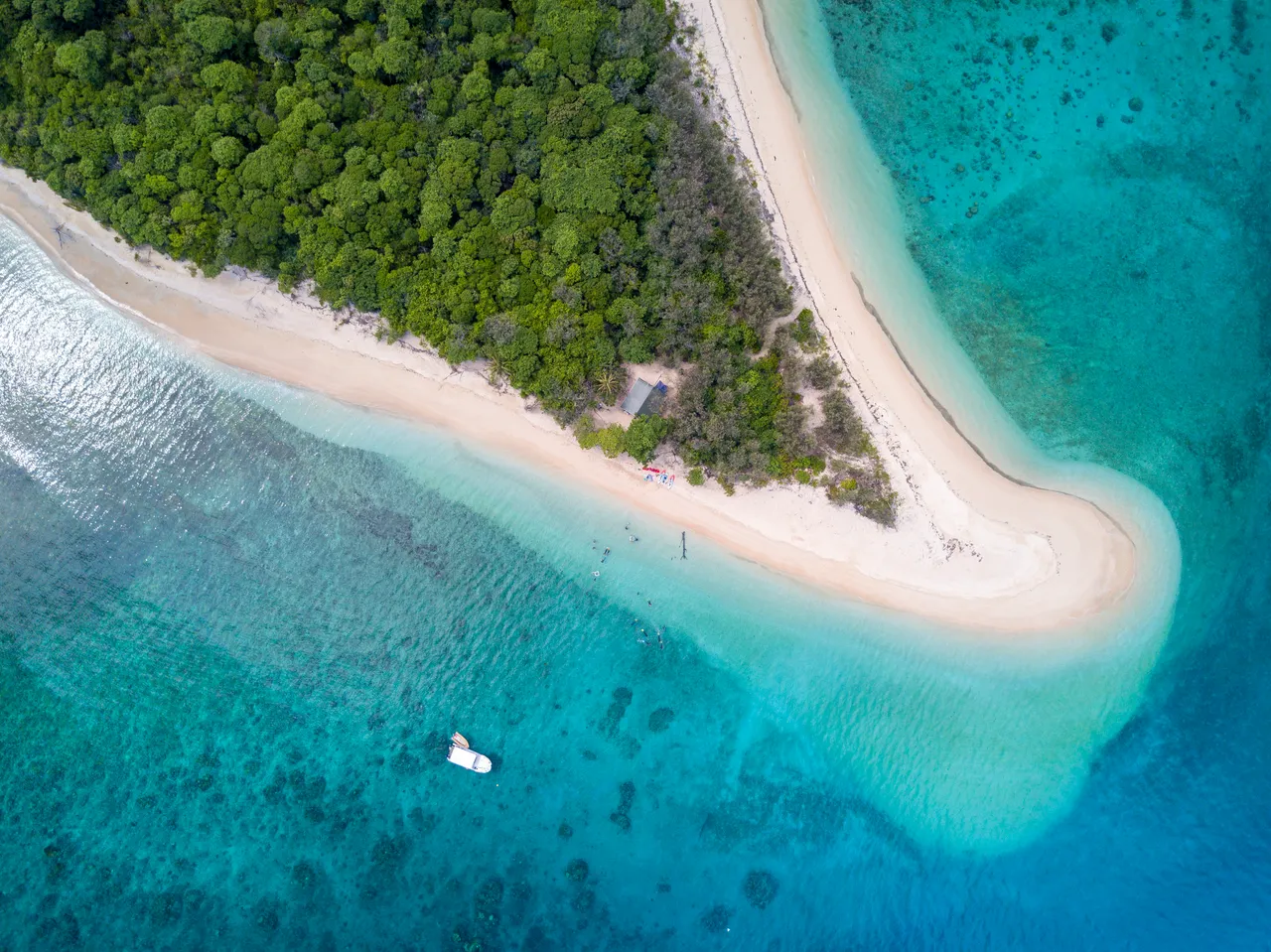 Frankland Islands-0024