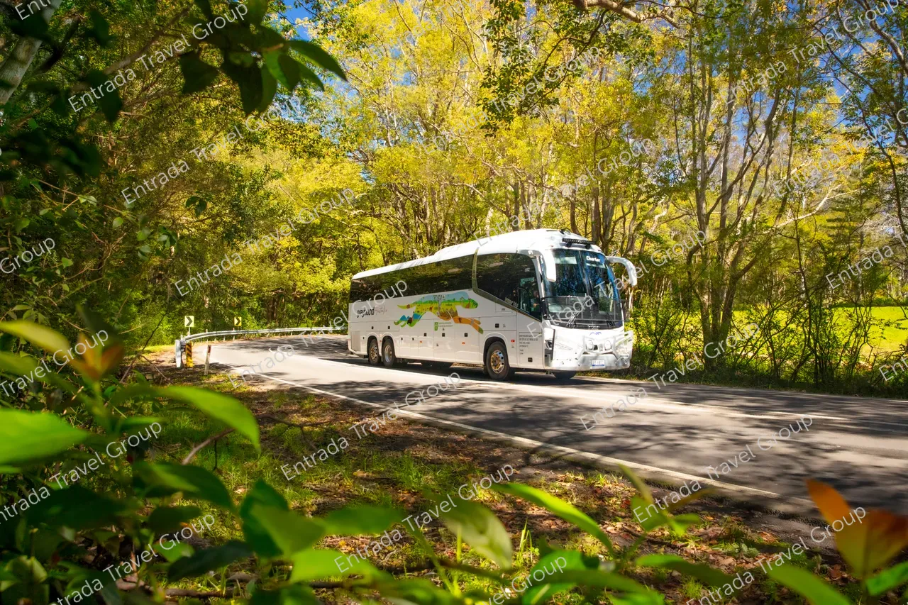 Greyhound Australia Coach Cairns_4