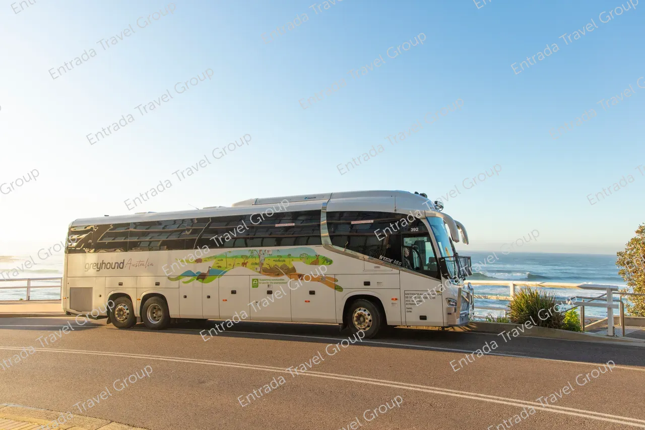Greyhound Australia Coach New Castle