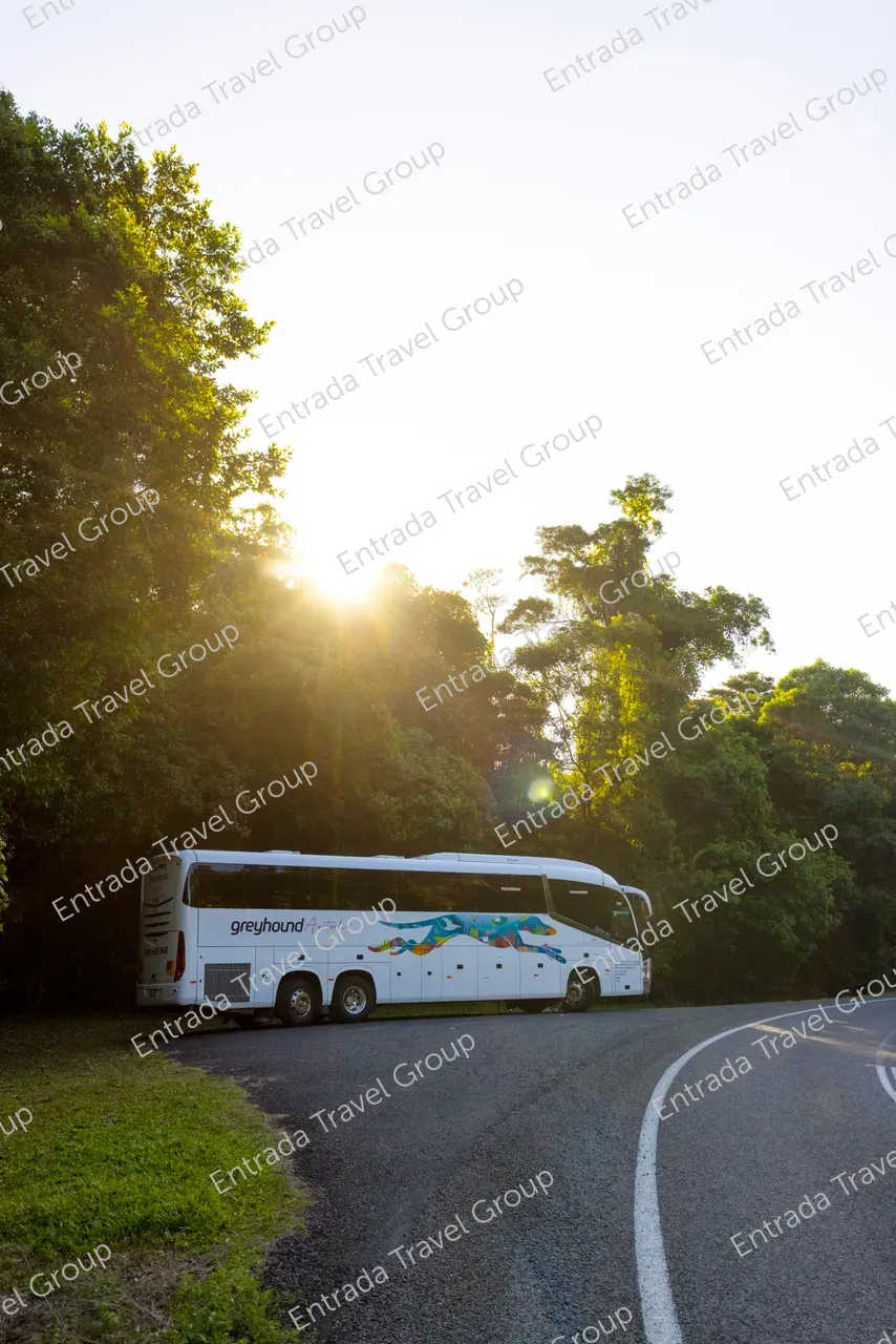 Greyhound Australia Coach Caldwell