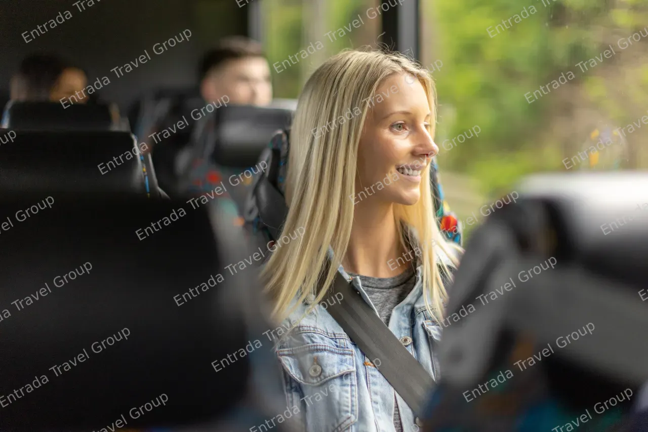 InterCity - Passenger looking out the window
