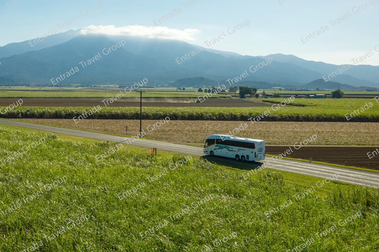 Greyhound Australia Coach Cairns_2