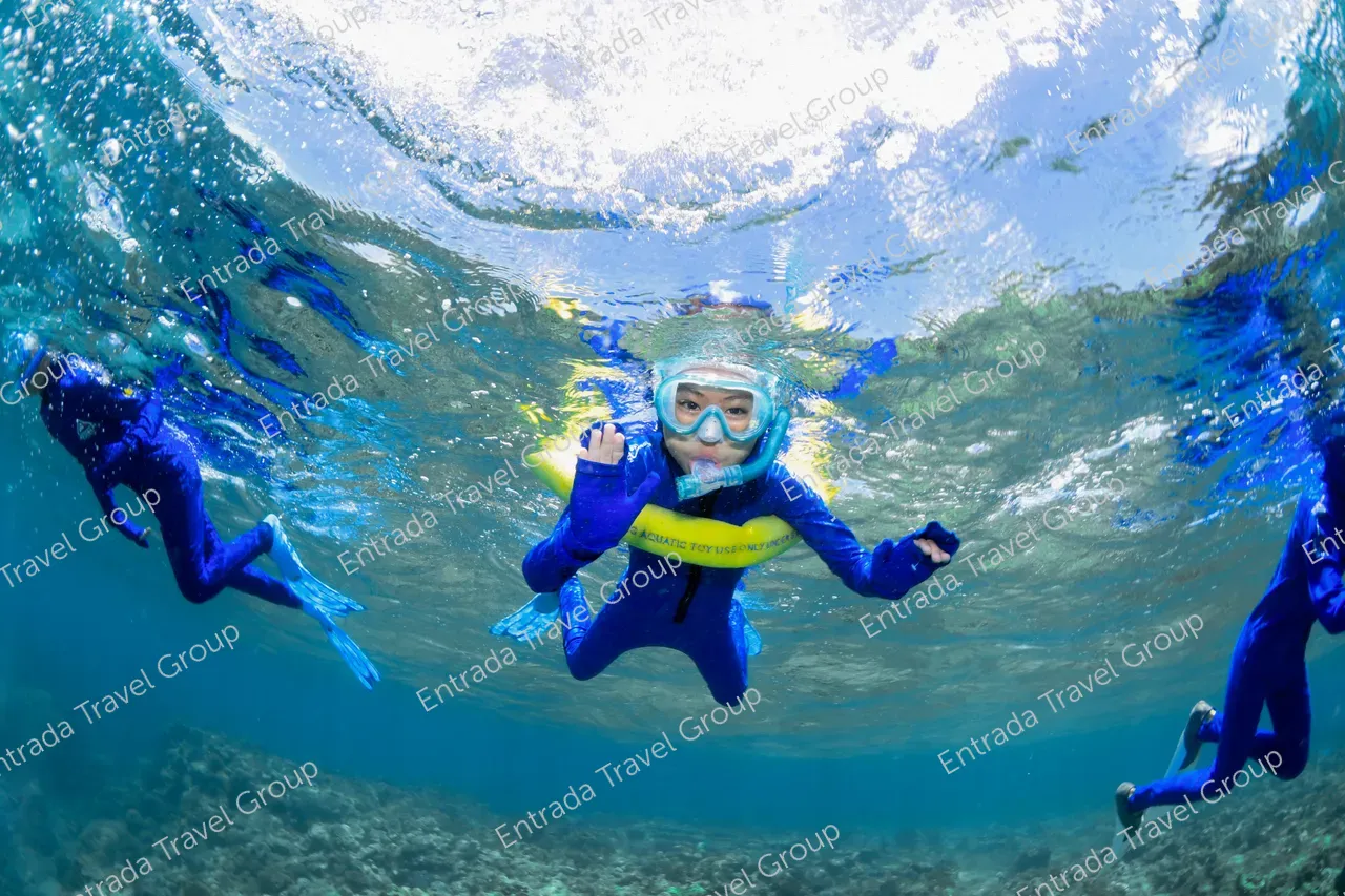 Three snorkelers in Great Barrier Reef, one is waving at the camera