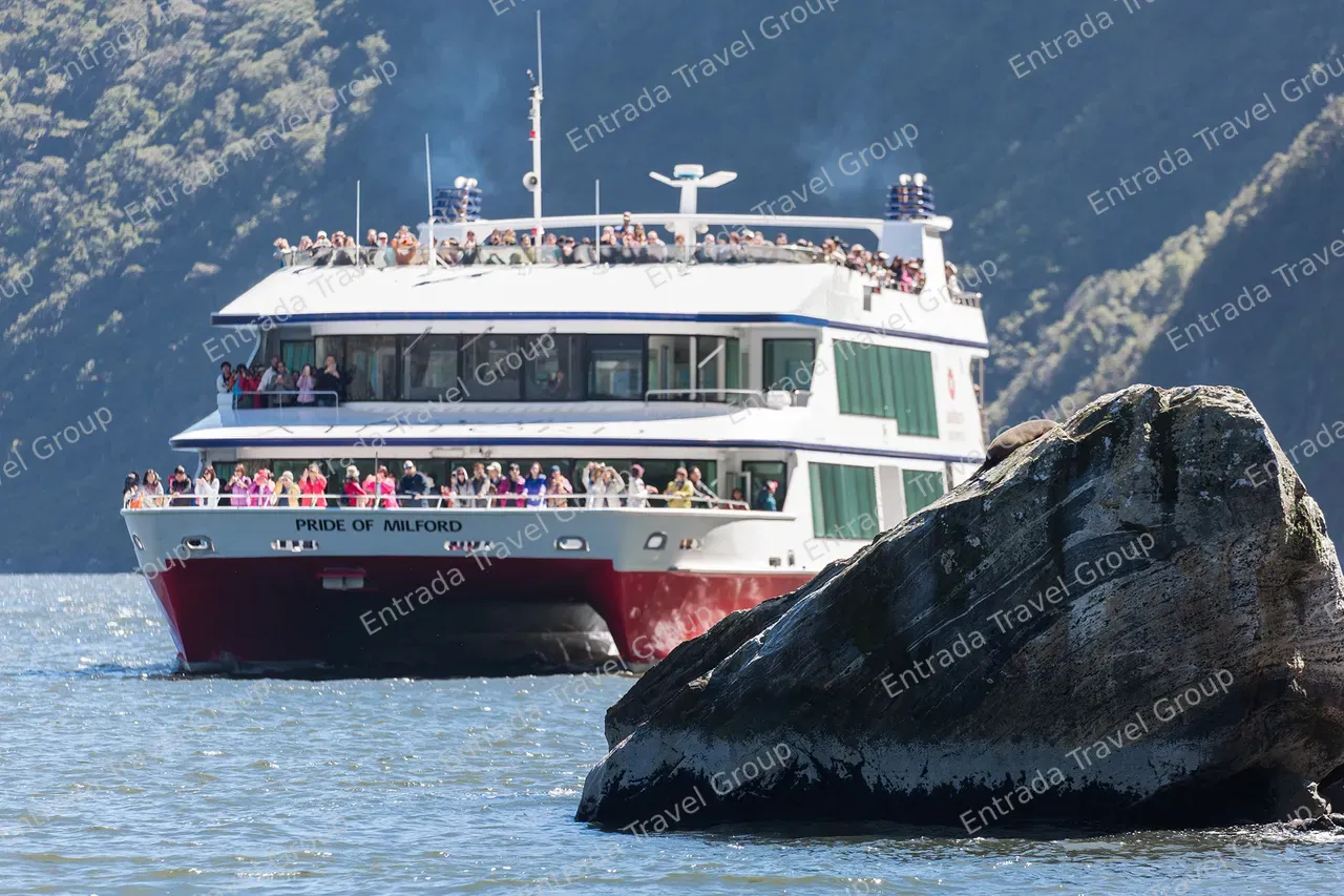 Southern Discoveries_Pride of Milford Cruise_Milford Sound 6