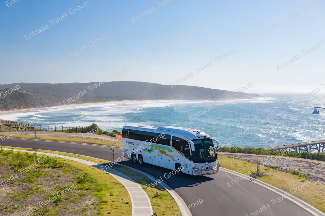 Greyhound Australia Coach New Castle_2