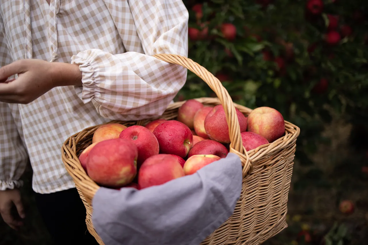 Pink Lady Orchard - 5