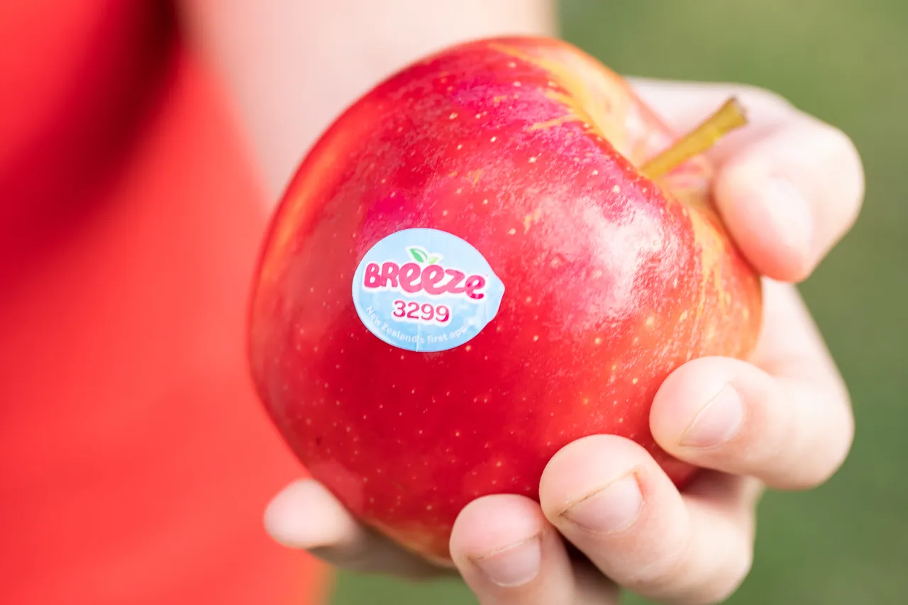 Breeze-