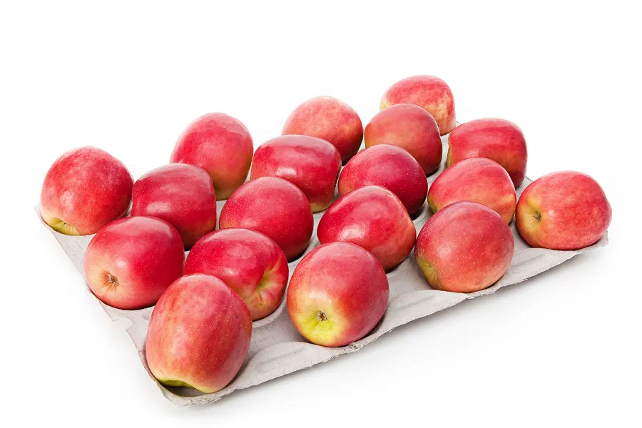 Freshco Cheekie tray