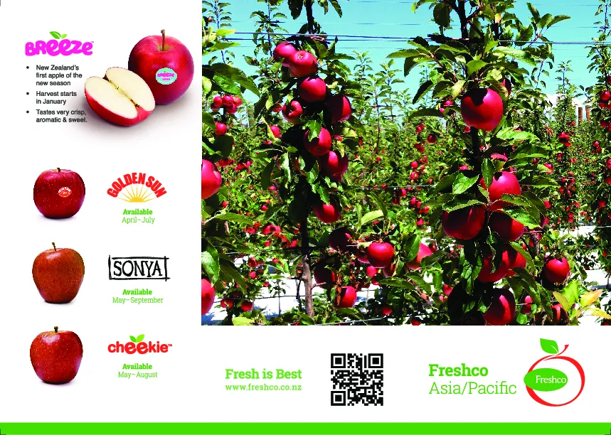 Freshco A4 letter fold brochure the other side