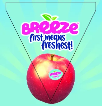 breeze-bunting-aw