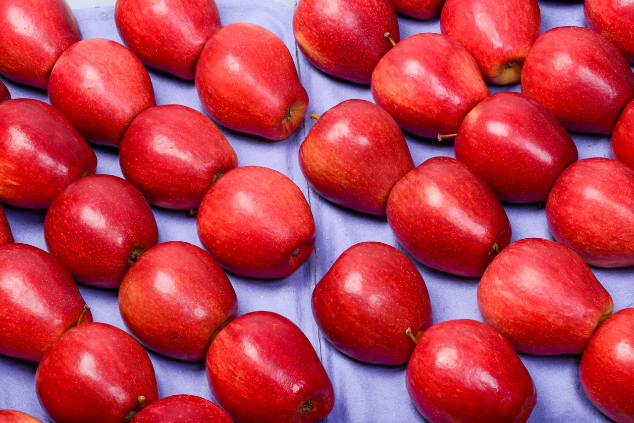 Red Sonya (1)