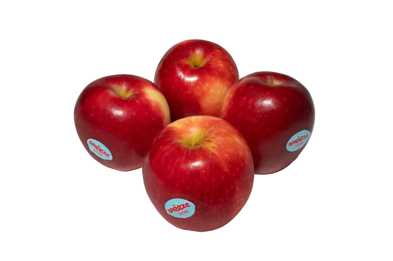 Breeze PLU (4 piece - 1)