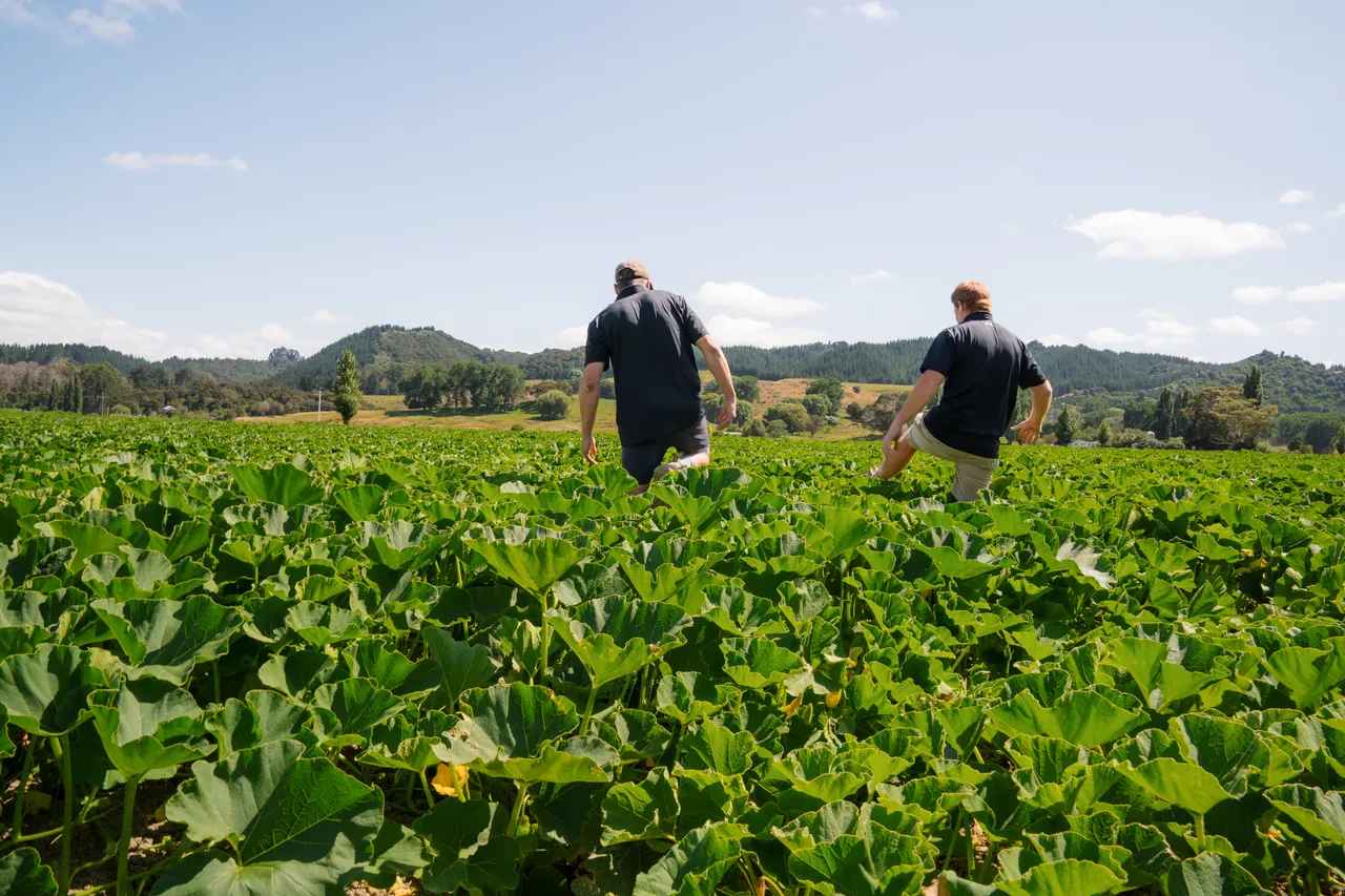 TGM - Growers (Gisborne)