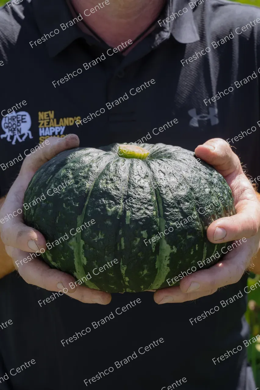 Kabocha Paddock Gisborne (1)