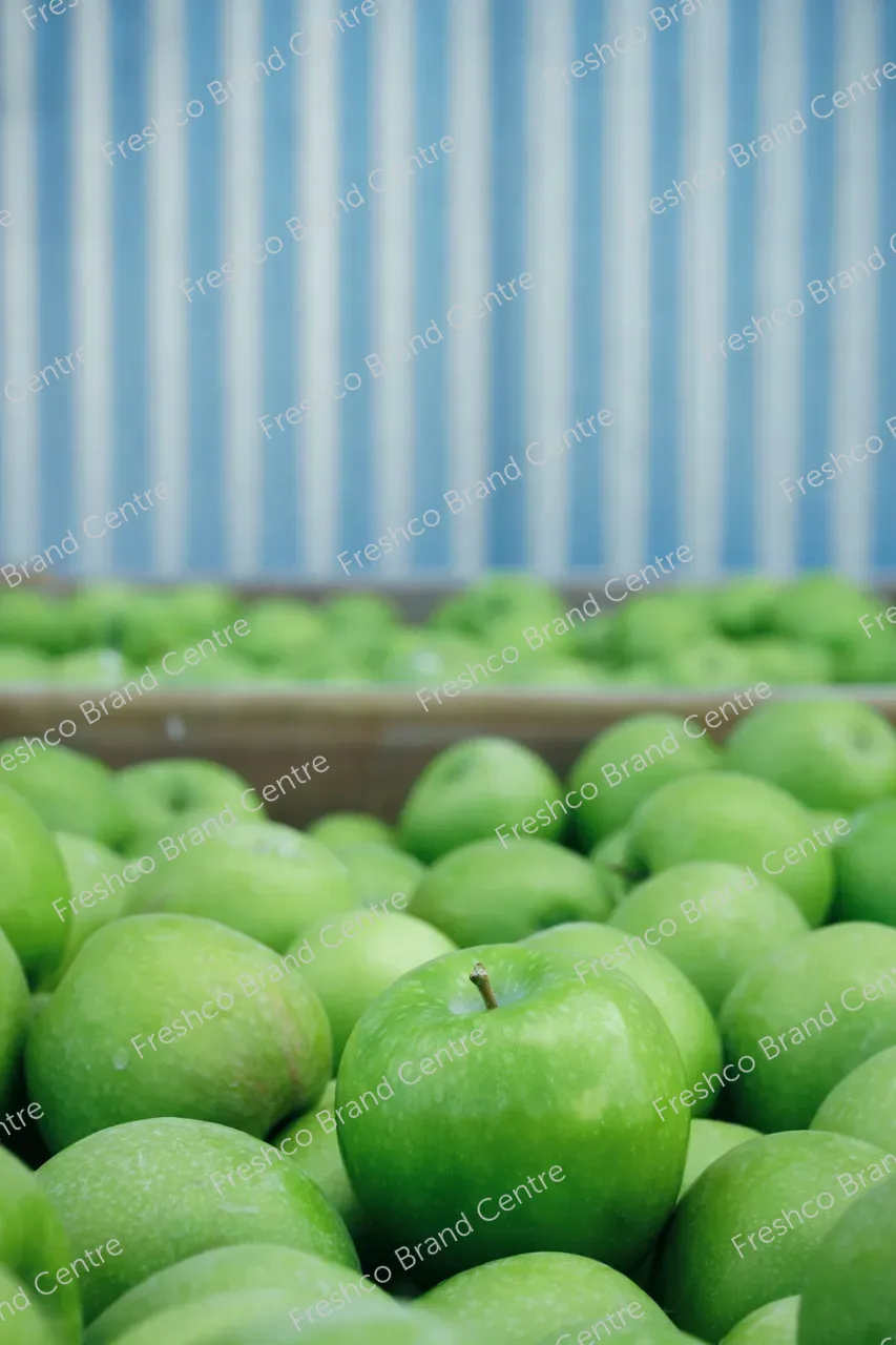 4_Freshco_2025_GRANNYSMITH_27.03_HR-152