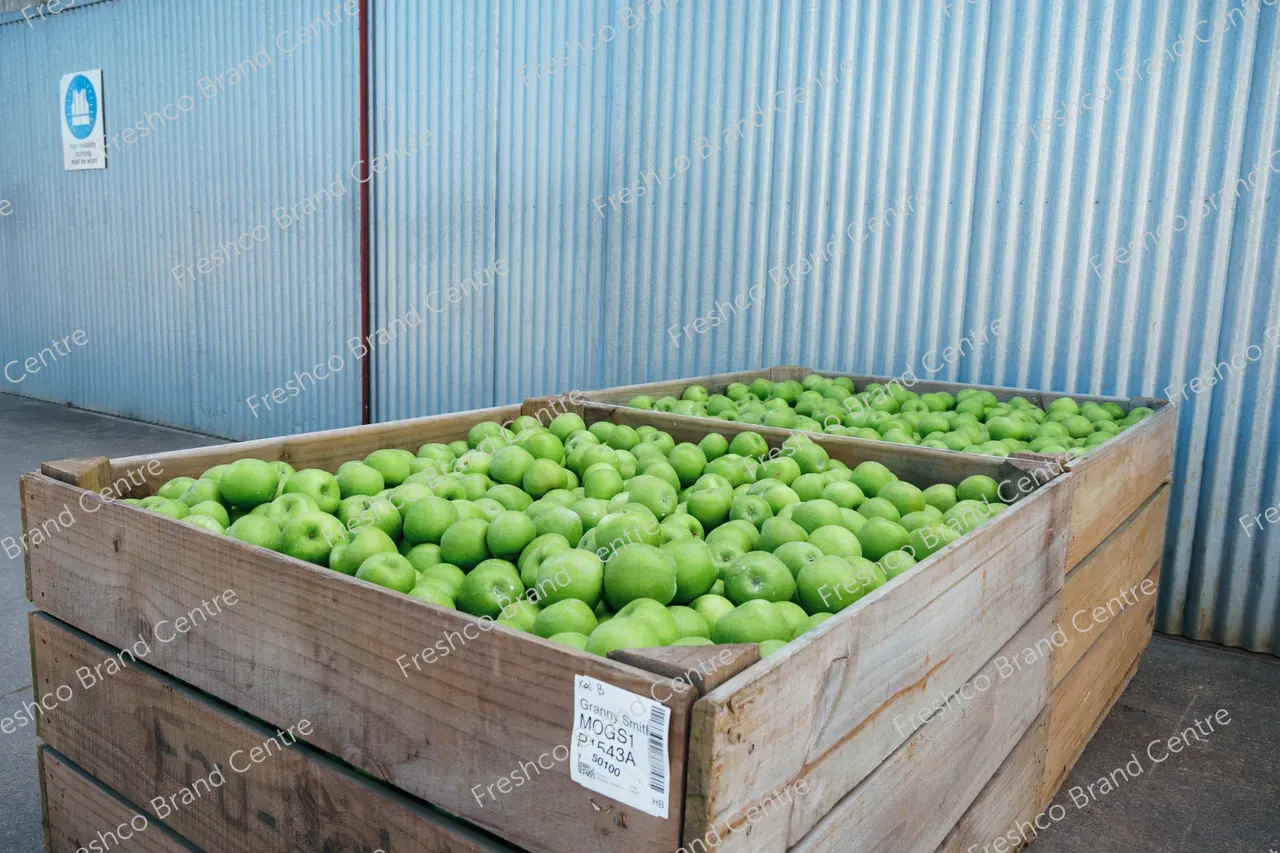 14_Freshco_2025_GRANNYSMITH_27.03_HR-162