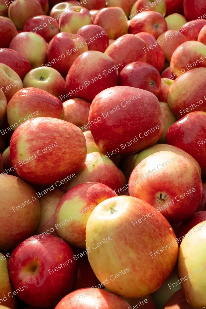 6_Sonya_Harvest_13_03_2024_DSC07258_4000_x_6000