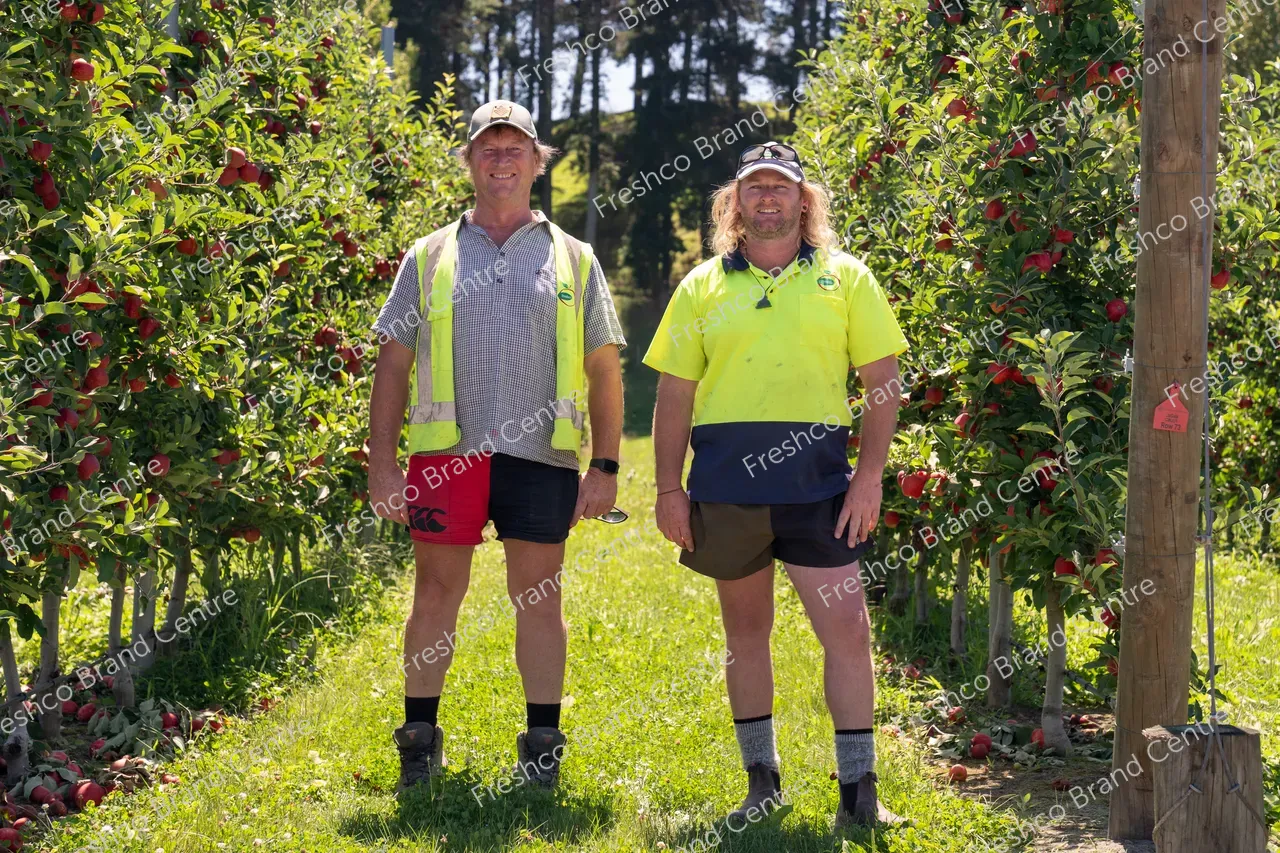 Harvesting Breeze and Gala_13 Feb 2024 (28)