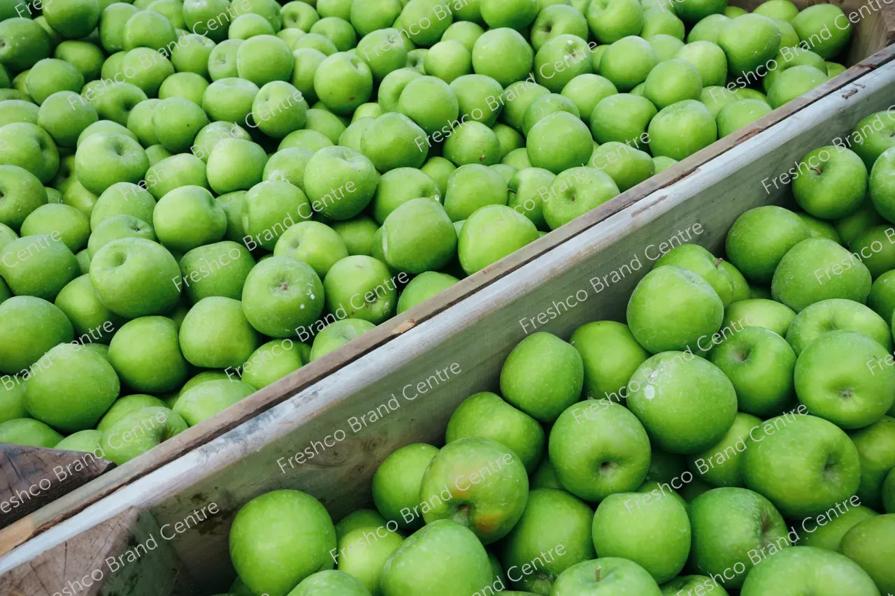 13_Freshco_2025_GRANNYSMITH_27.03_HR-161