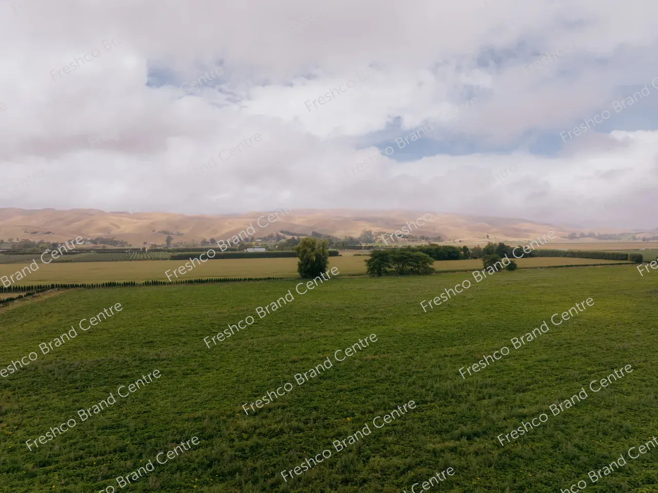 Kabocha Paddock Hawkes Bay (1)