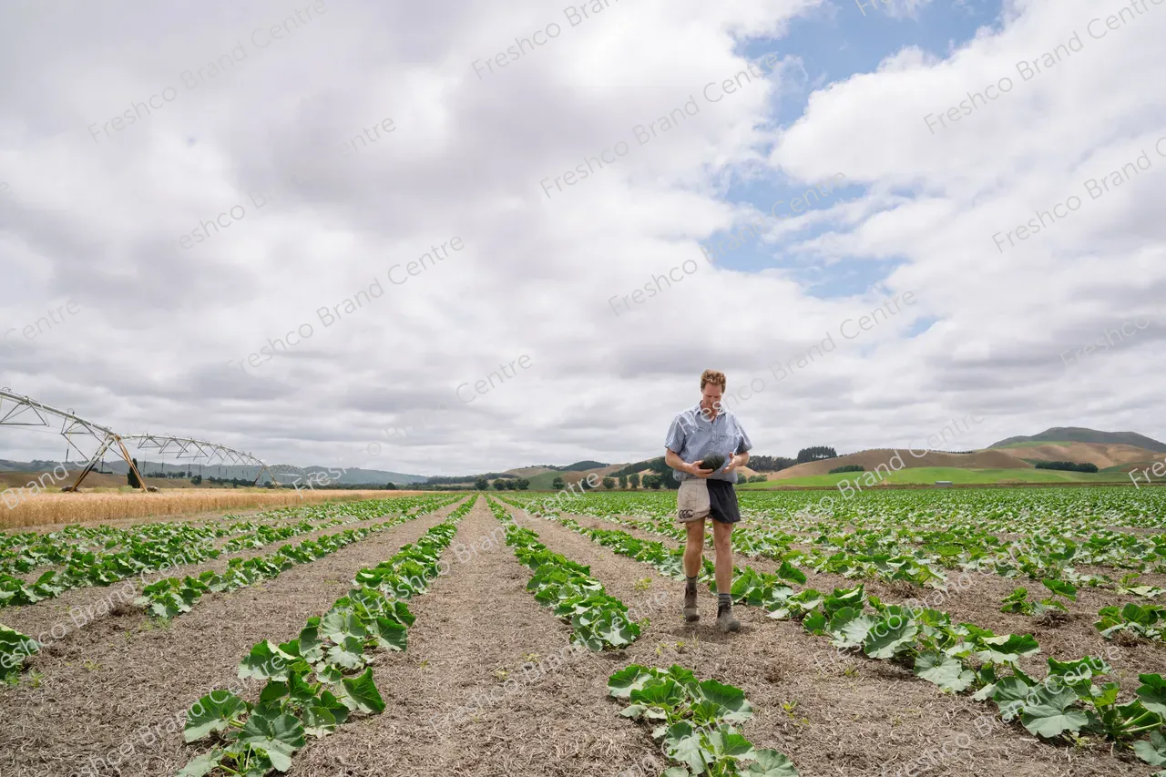 Simon White TGM Grower Hawkes Bay (25)