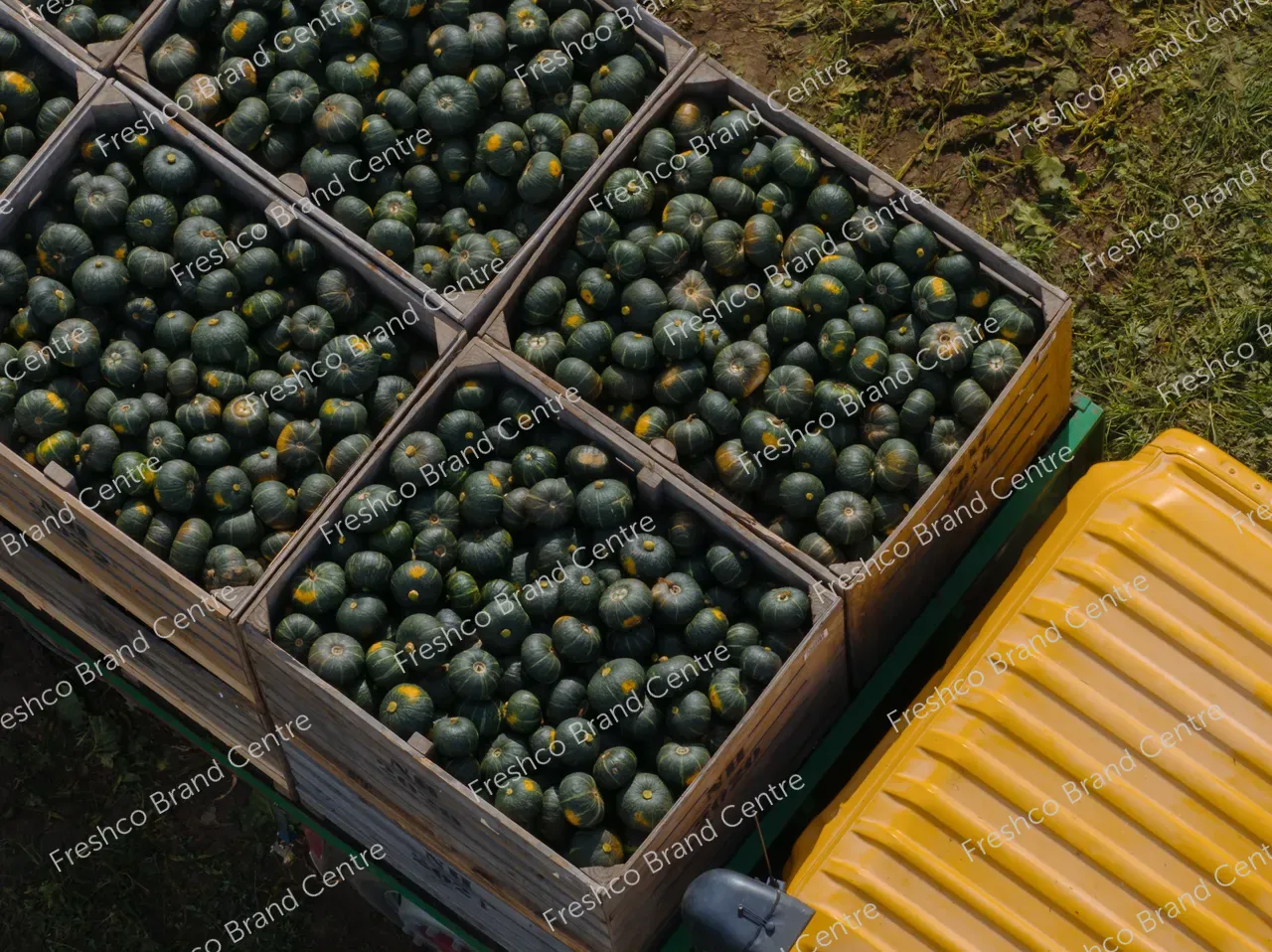 Kabocha Paddock Hawkes Bay (22)