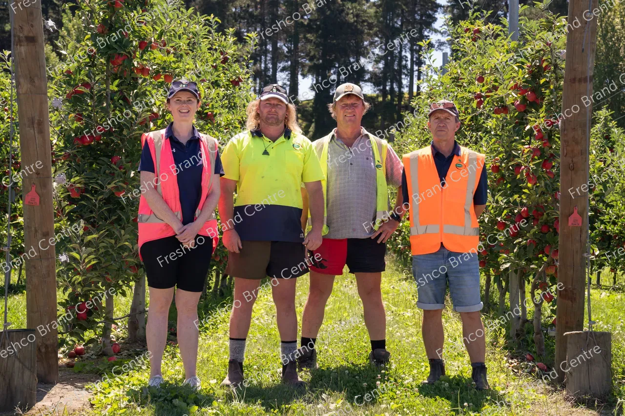 Harvesting Breeze and Gala_13 Feb 2024 (6)