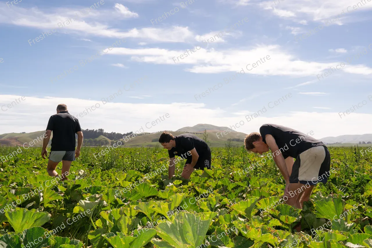 TGM_GROWERS_2026 Hawkes Bay_Hamish-Shane-Hugh-Simon (9)