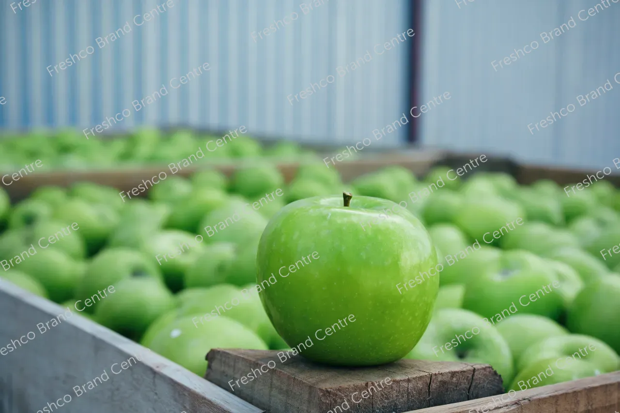 7_Freshco_2025_GRANNYSMITH_27.03_HR-155
