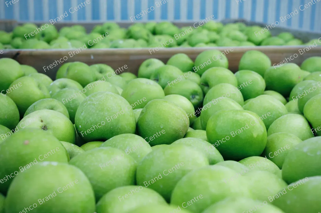 2_Freshco_2025_GRANNYSMITH_27.03_HR-150