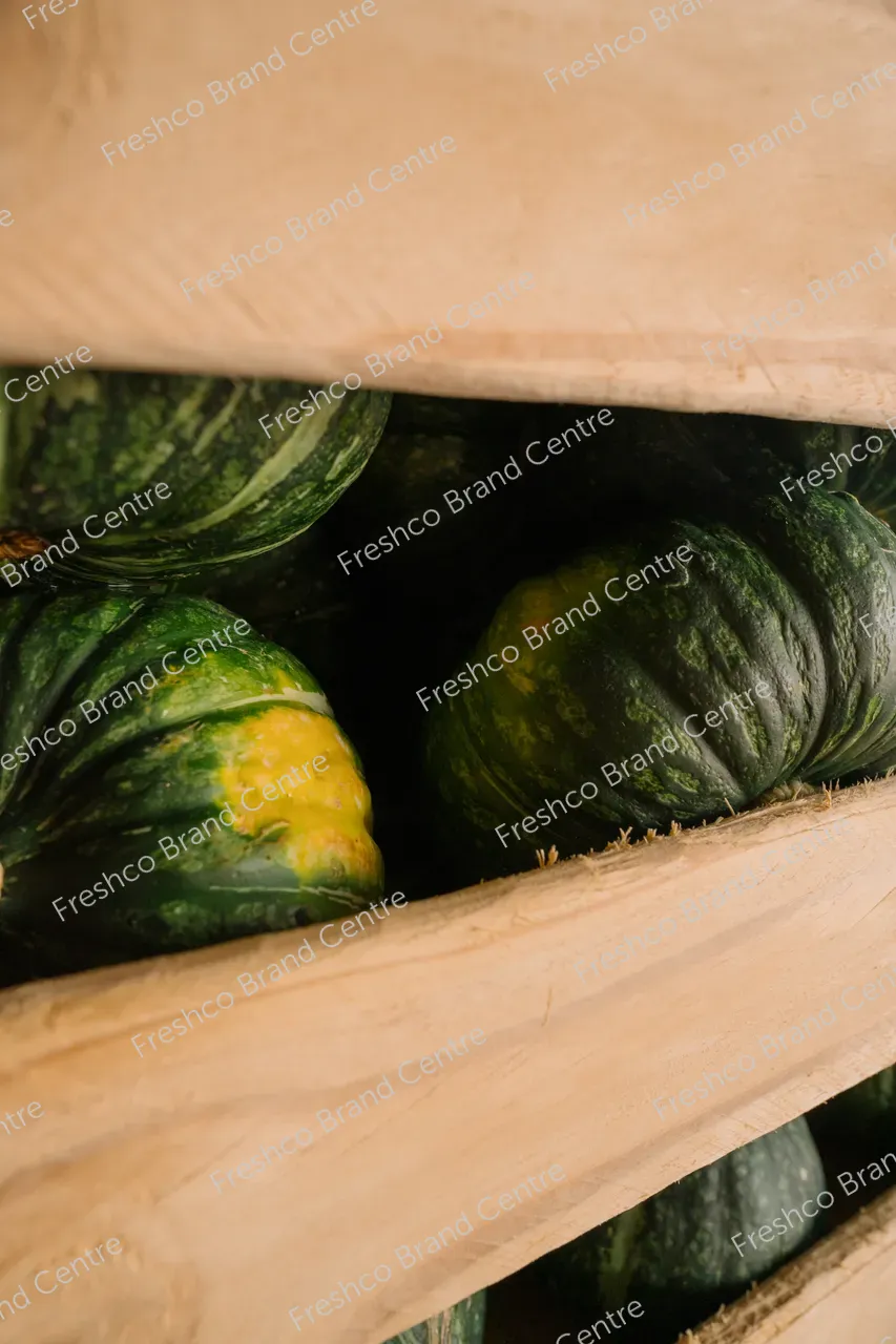 36_TGM_2024_Content_18_01_2024_DSC03806_Full_Size