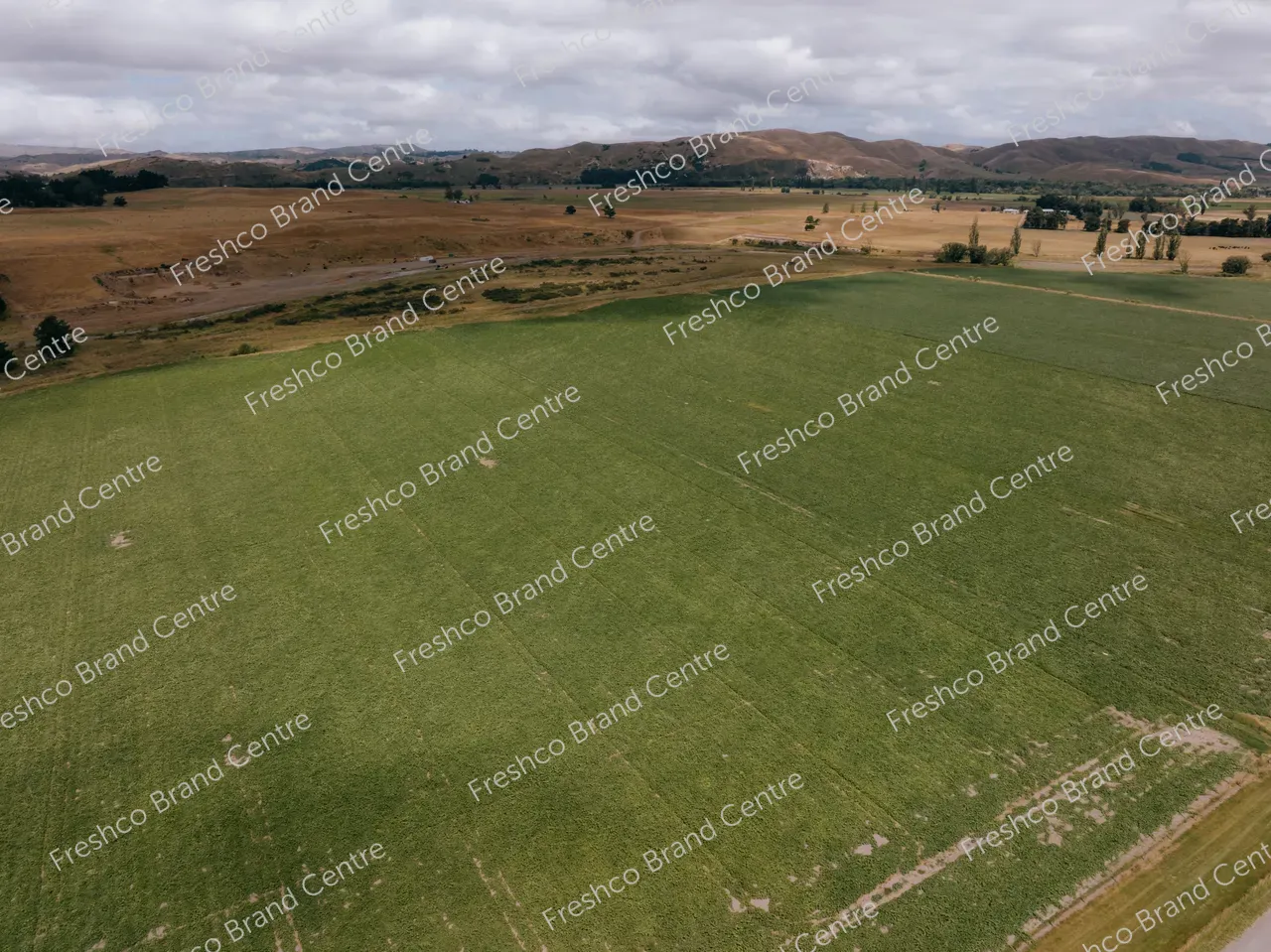 Kabocha Paddock Hawkes Bay (13)